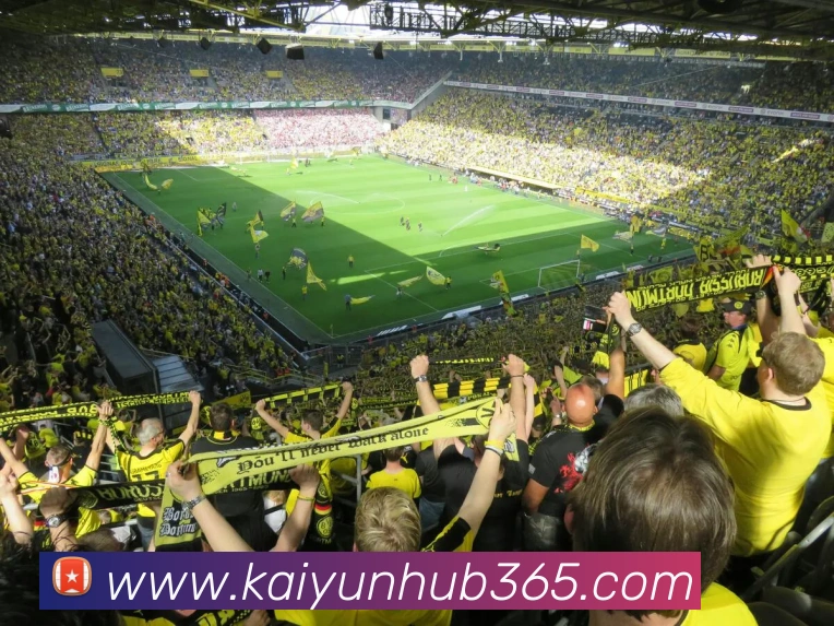 开云APP 体育赛事宣传图